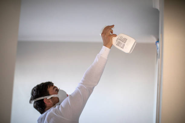 Best Mold Removal and Inspection  in Stonecrest, GA
