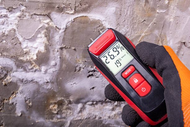 Best Attic Mold Removal  in Stonecrest, GA