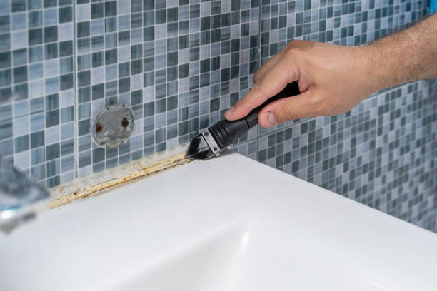 Best Fast Mold Removal  in Stonecrest, GA