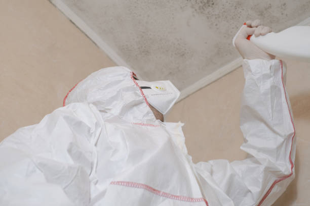 Best Mold Damage Repair  in Stonecrest, GA