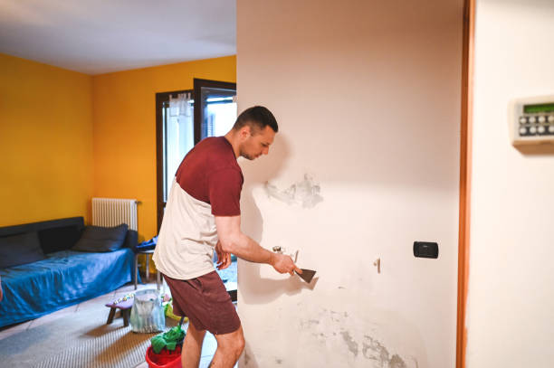Best Office Mold Removal Services  in Stonecrest, GA