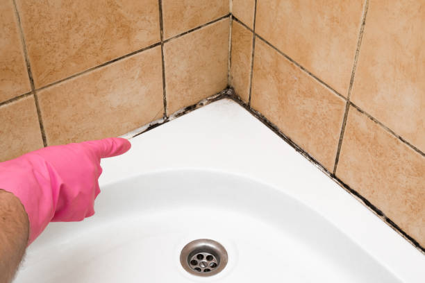 Best Affordable Mold Removal  in Stonecrest, GA